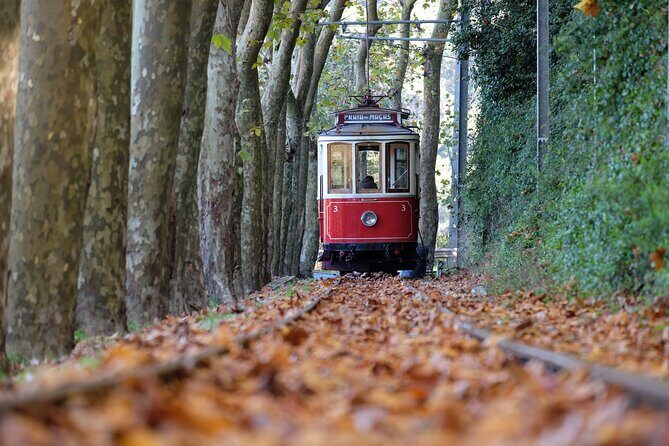 Sintra and Cascais Small Group Full-Day Tour from Lisbon - Quinta da Regaleira and Its Gothic-Modern Magic